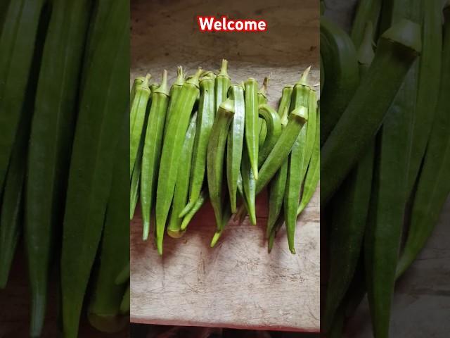 Why Bhindi Is the Best Vegetable || #shorts