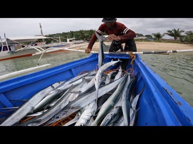 Ang Daming Isda Maliit ang kinita Catch & Sell | Net fishing