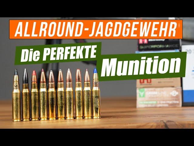 Die perfekte Munition für das ALLROUND-JAGDGEWEHR - Auswahl & Präzisionstest | JAGD TOTAL