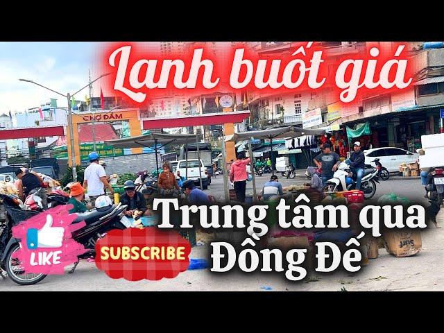 Mùa Đông Giá Lạnh Ở Nha Trang: Từ Chợ Đầm Đến Vĩnh Hải nhộn nhịp những ngày cuối năm 2024