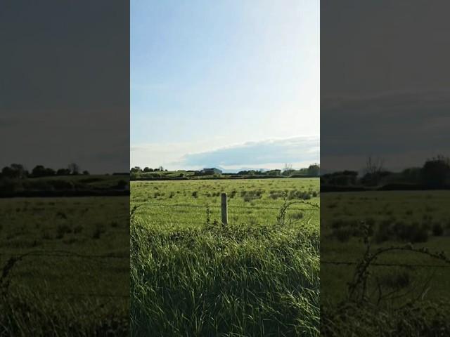 Iresh Green   #nature #Irish