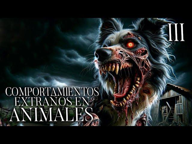 Testimonios De Animales Aterradores Historias De Terror - REDE