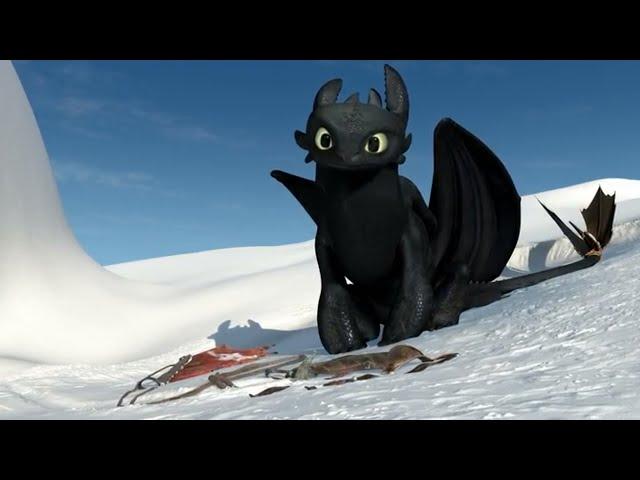 Gift Of The Night Fury - All Toothless Scenes