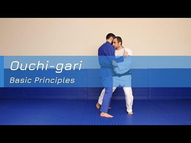 Ouchi-gari - Basic principles