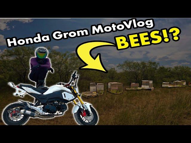 My Last Ride… Honda Grom Motovlog