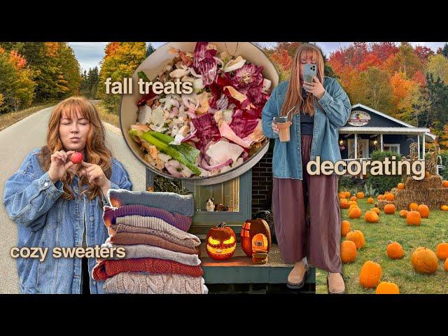 how to romanticize fall without the consumerism of it all  ️ ️ (slow & cozy autumn ideas)