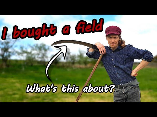 I bought a field - Scything, Permaculture, History, Eco-Projects - Trailer