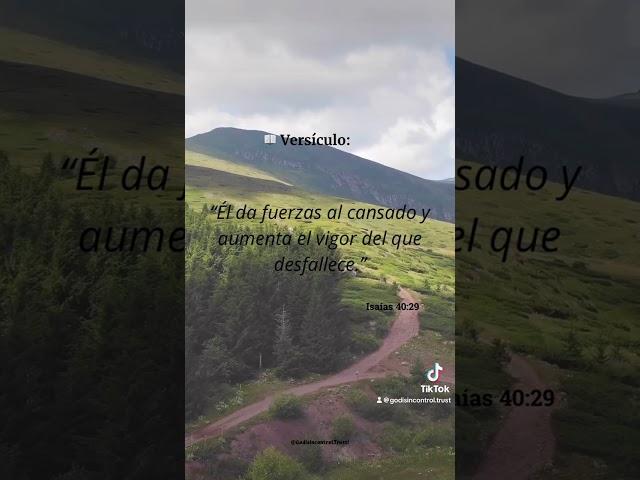“Él da fuerzas al cansado y aumenta el vigor del que desfallece.” – Isaías 40:29
