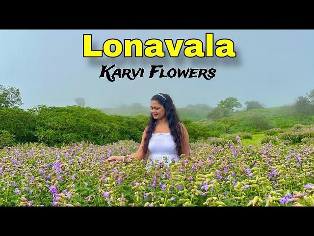 Karvi Flowers Festival Vlog | Lonavala | Best Place to visit in #lonavala 