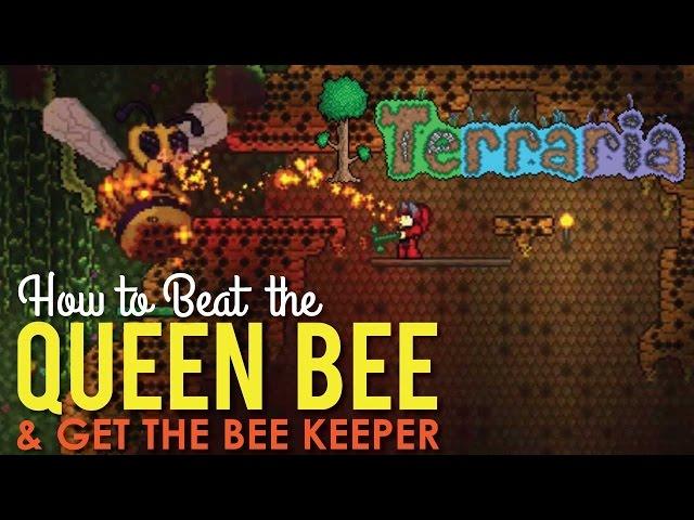 How to beat the Queen Bee & Get the Bee Keeper, Terraria