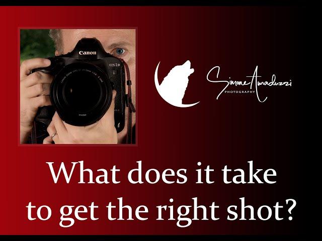 Photography Tutorial - What does it take to get the right shot?