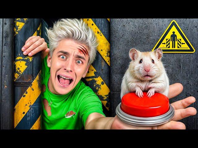 MAZE for HAMSTER vs TRAPS for HUMANS! The Most Extreme DESTRUCTION in the World!