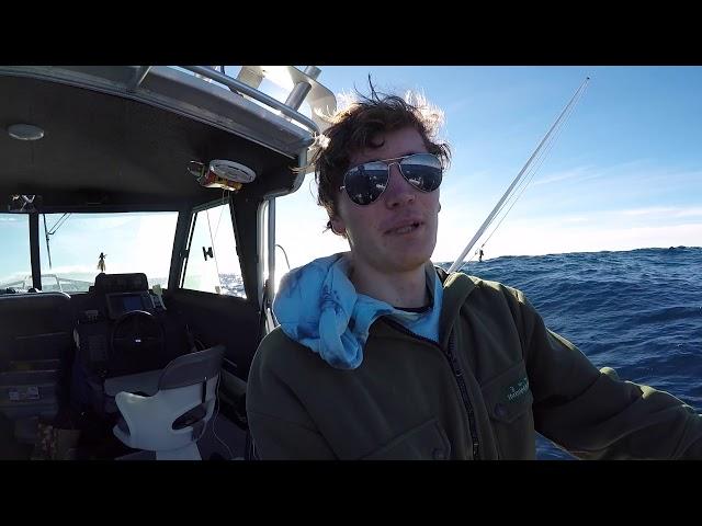 Southern Bluefin Tuna