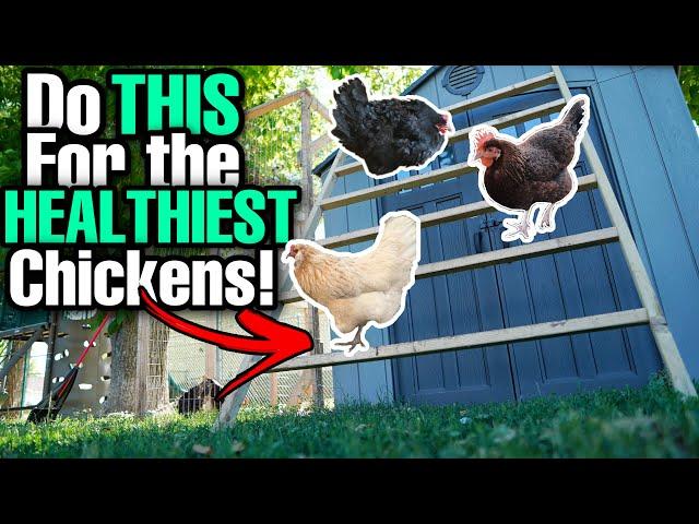 Top 5 Chicken Roost Mistakes To Avoid! (#5 May Surprise You!)