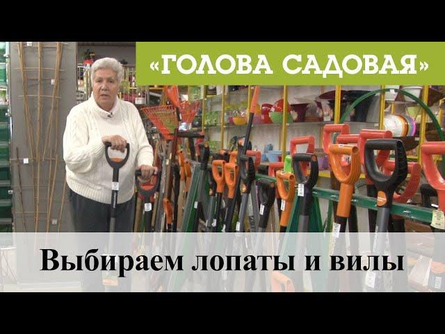 Голова садовая - Выбираем лопаты и вилы