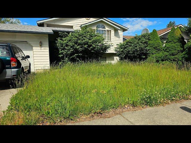 Man Recovering From Double Hip Surgery Gets A FREE Lawn Makeover