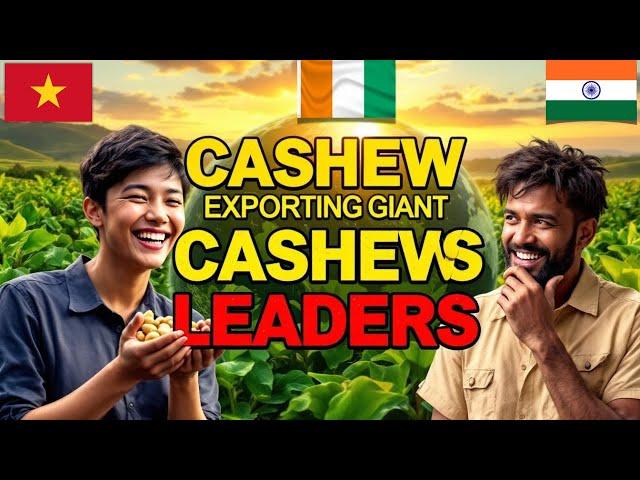 Top 10 Cashew Export Giants | Uncovering the Global Market Leaders | Galaxy Commercial