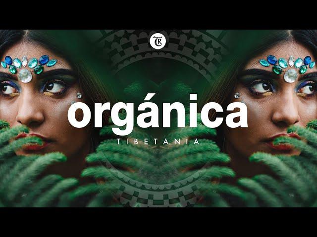 ORGANICA MIX | Finest Organic & Ethno Deep House Music | Dj Mix by Marga Sol