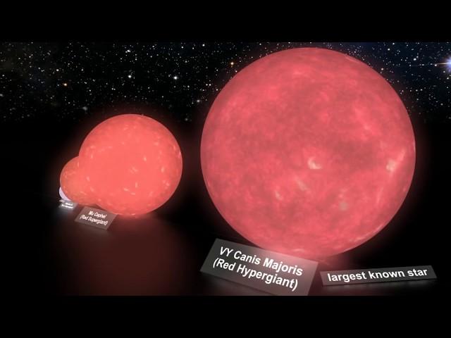 The largest star - VY Canis Majoris