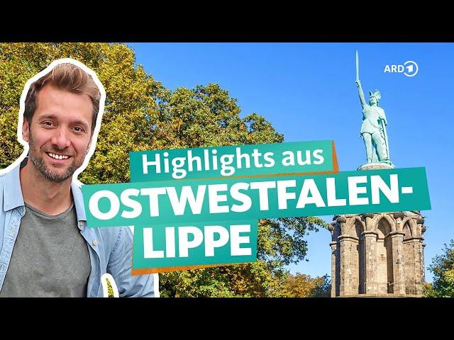 OWL:  Externsteine, Teutoburger Wald und Störche | ARD Reisen