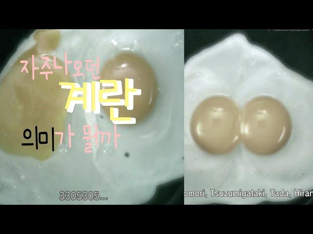 계란의 의미가 뭘까