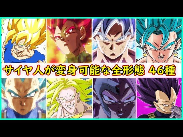 サイヤ人が変身可能な４６種の形態！　キミは全部知っているか！？ 【ドラゴンボール】【ドラゴンボール超】 【身勝手の極意】 【我儘の極意】 【悟空】 【ベジータ】 【ブロリー】 【ゴクウブラック】