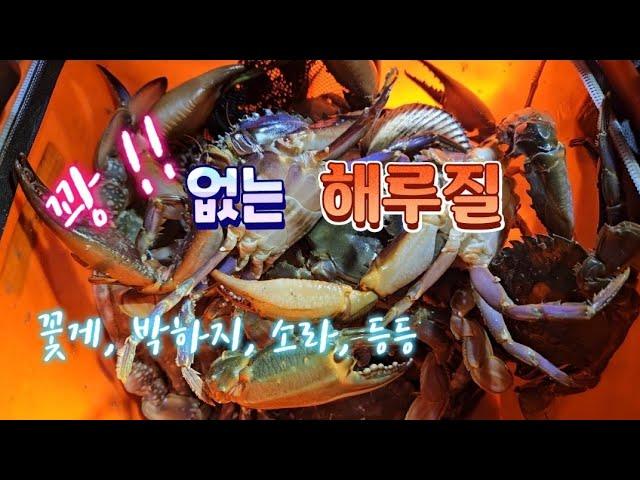 눈만 크게 뜨고보면 꽝없는 해루질 도전 !! (feat. mukbang)