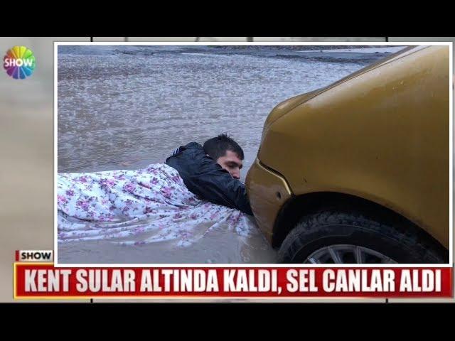 Sefa Kindir Yeni Çekilen Tüm Videolar