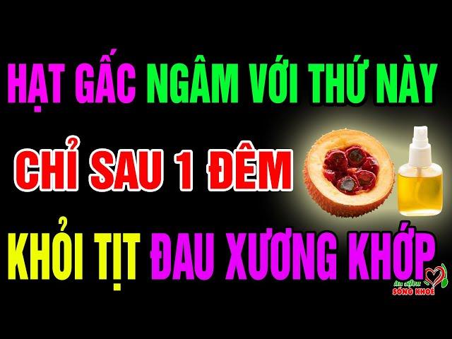 Cứ Lấy Hạt Gấc Ngâm Với Thứ Này Cực Tốt Cho Sức Khỏe, Hồi Sinh Xương Khớp, Cả Đời Không Lo Tật