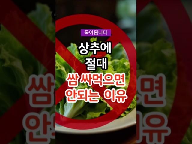상추 먹으면 안되는 이유 /상추 부작용 #건강 #건강정보 #건강상식