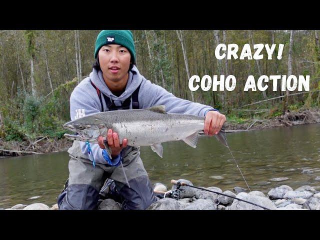 Crazy COHO Afternoon Fishing! Vedder River Salmon