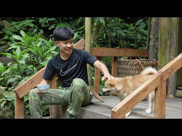 21-year-old Boy& Puppy to forest,alone build house,grow crops,make generators,Live happily 100 years