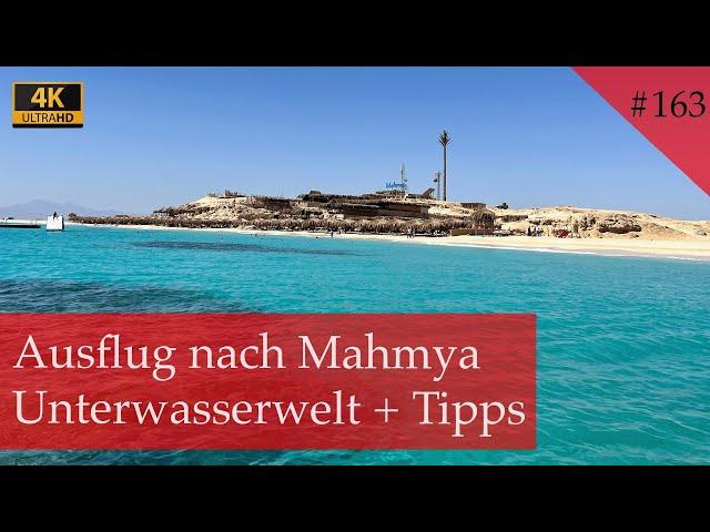 Mahmya Island | Der wahrscheinlich schönste Ort am Roten Meer | Hurghada 2023 (Vlog #163)