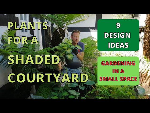 How to make a SMALL SHADED GARDEN. With 9 innovative design ideas. Shade loving plant selection.