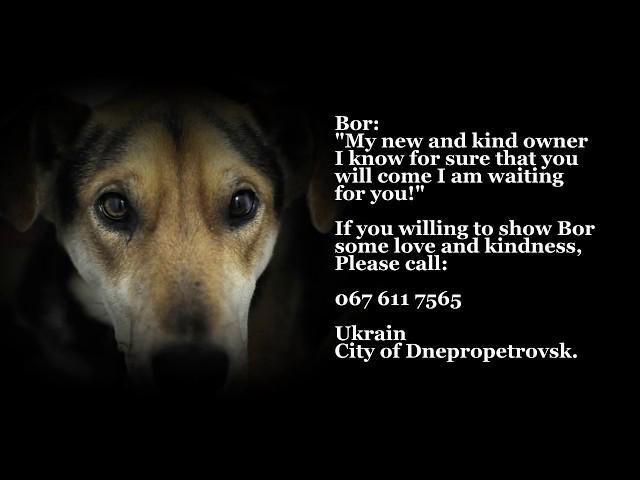 Bor requests help!