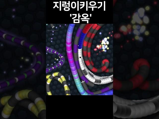 지렁이키우기 감옥 #shorts