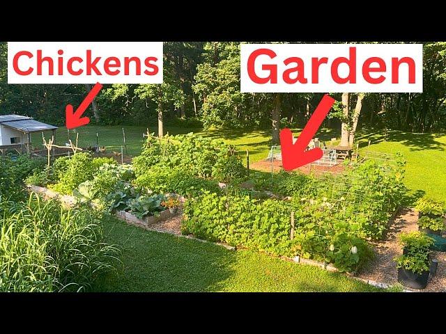 How to Homestead on 1 Acre or Less