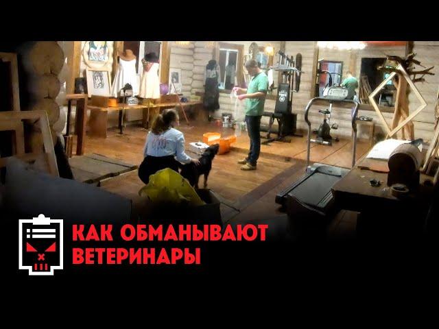 Как обманывают ветеринары и догситтеры // Чёрный список