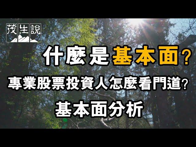 什麼是基本面？基本面分析，專業股票投資人怎麼看門道？