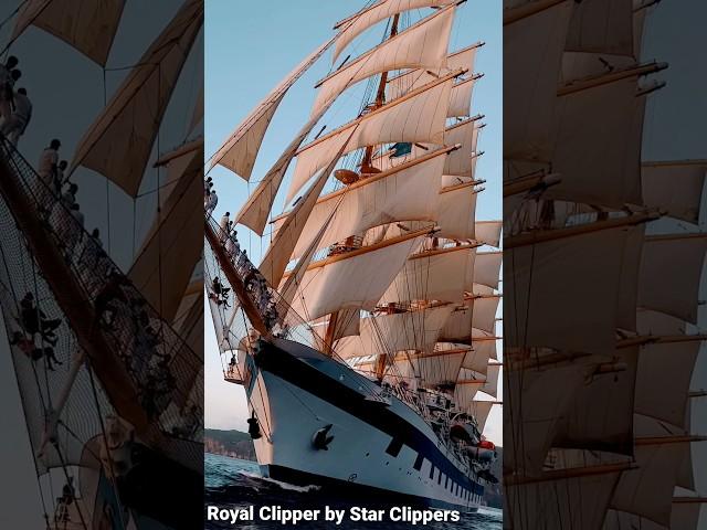 The Largest Square Rigged Sailing Ship in the WORLD: “Royal Clipper” by #StarClipper #royalclipper