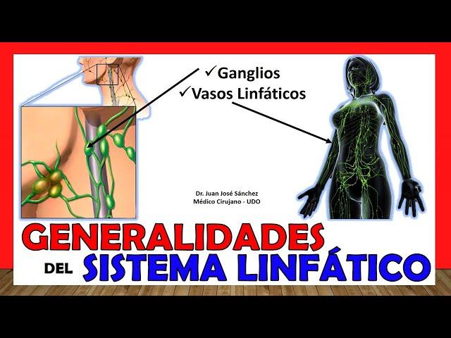  LYMPHATIC SYSTEM in 18 Minutes!! GENERALITIES. Easy and simple!