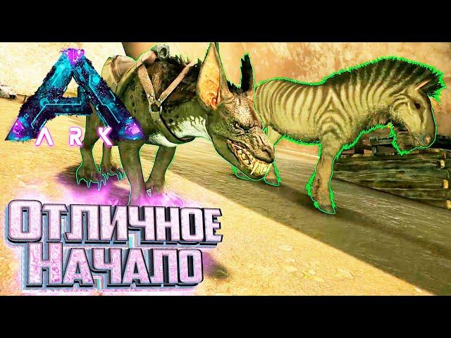 Отличное Начало на Аберрации - ARK Survival Aberration Выживание