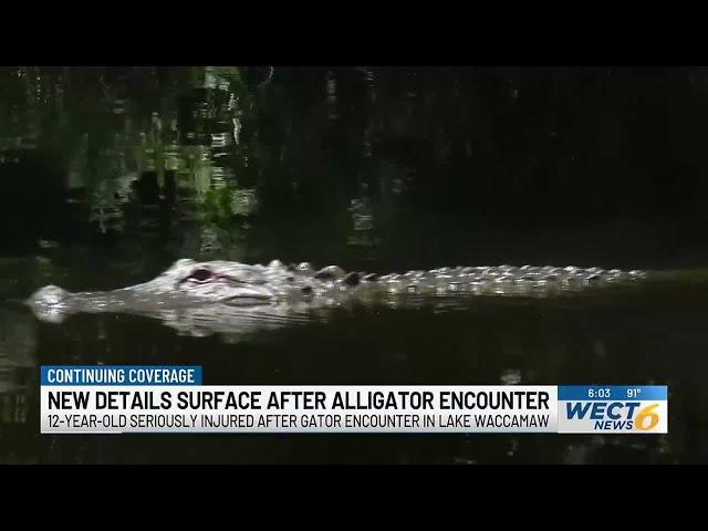 New details surface after 12-foot alligator seriously injures young girl in Lake Waccamaw