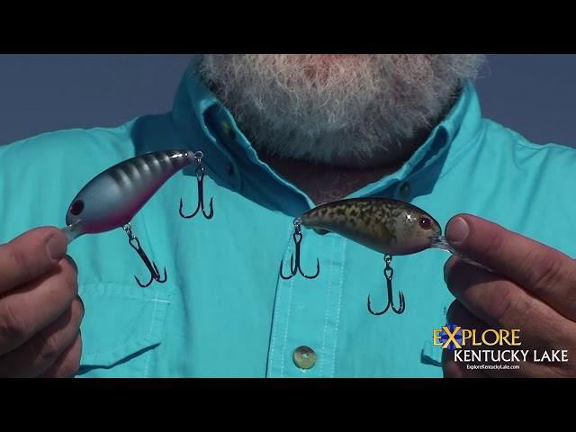 Different Types of Crankbaits (Part 1)