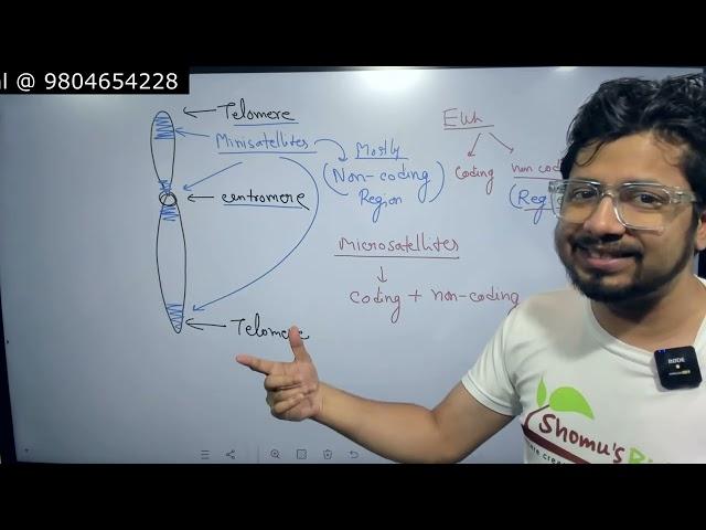 Microsatellites and minisatellites | Satellite DNA