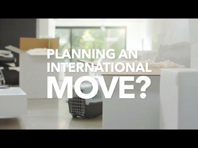 Best International Packers and Movers | Globe Moving