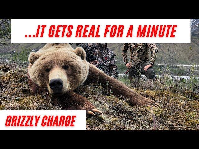 GRIZZLY CHARGE! | ALASKA GRIZZLY HUNT