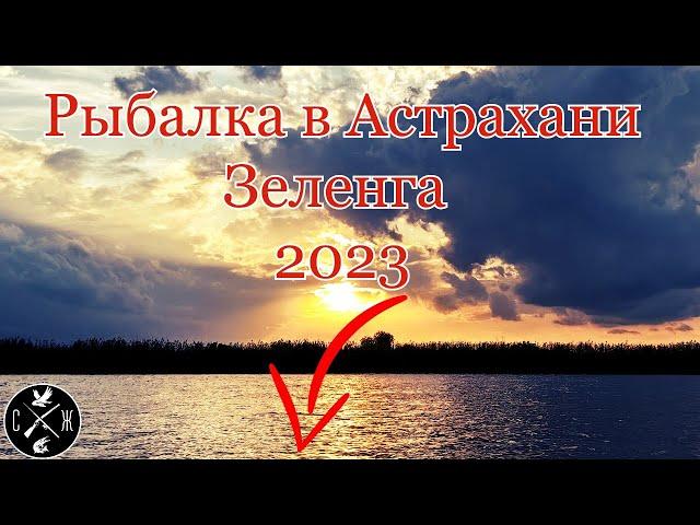 Рыбалка в Астрахани Зеленга 2023