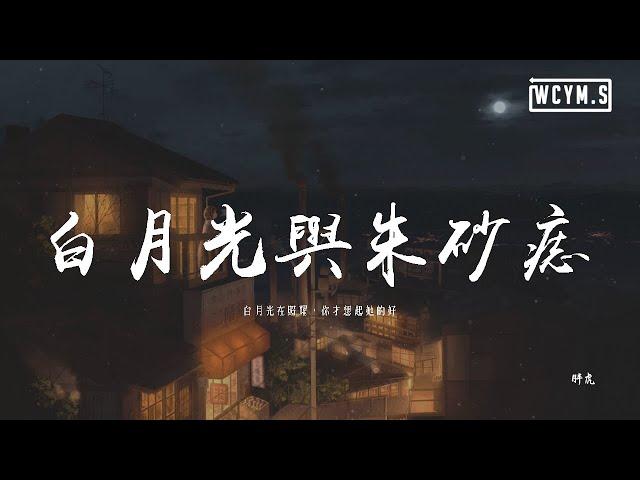 胖虎 - 白月光與朱砂痣「白月光在照耀，你才想起她的好」【動態歌詞/pīn yīn gē cí】