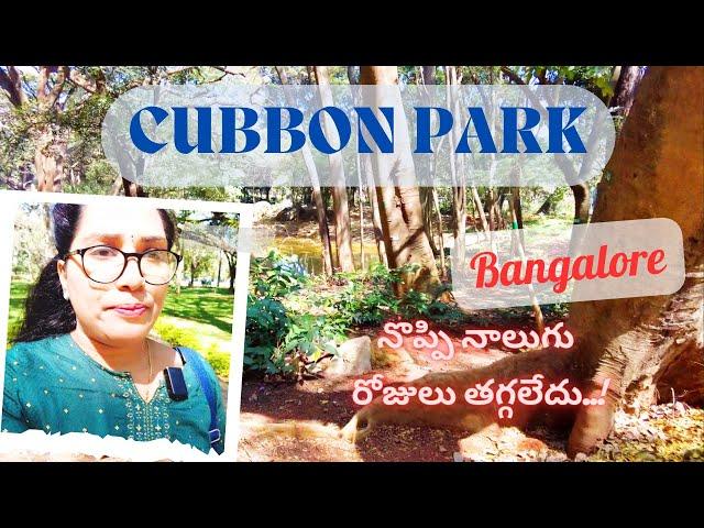 Cubbon Park | Bangalore | Chamarajemdra Park | Lohitha Kadiveti | aVesome its awesome